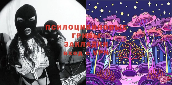 спайс Аркадак