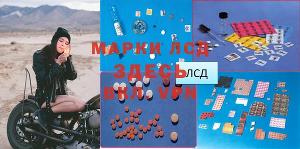 спайс Аркадак